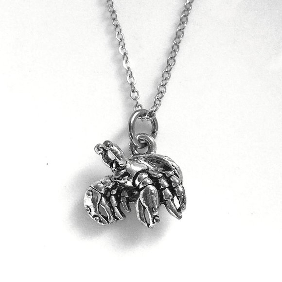 Miniature Tiny Hermit Crab Marine Life Ocean Life Shell Fish Animal Necklace - Picture 1 of 6